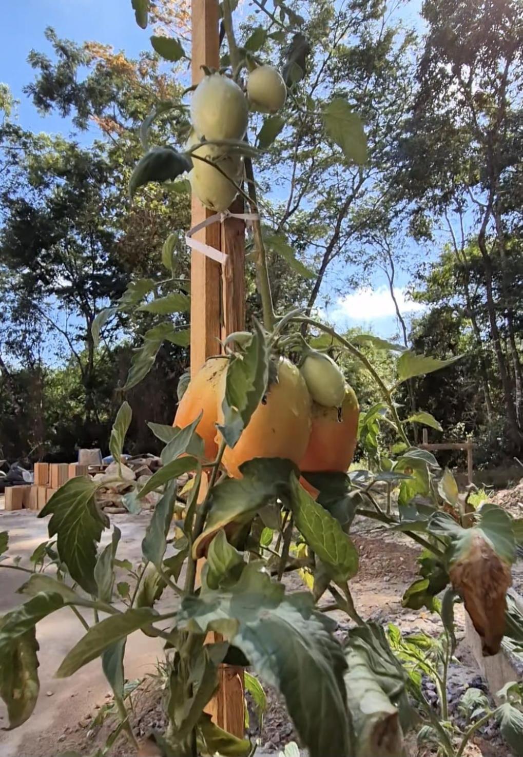 Pousada Verde Villas Brumadinho Esterno foto