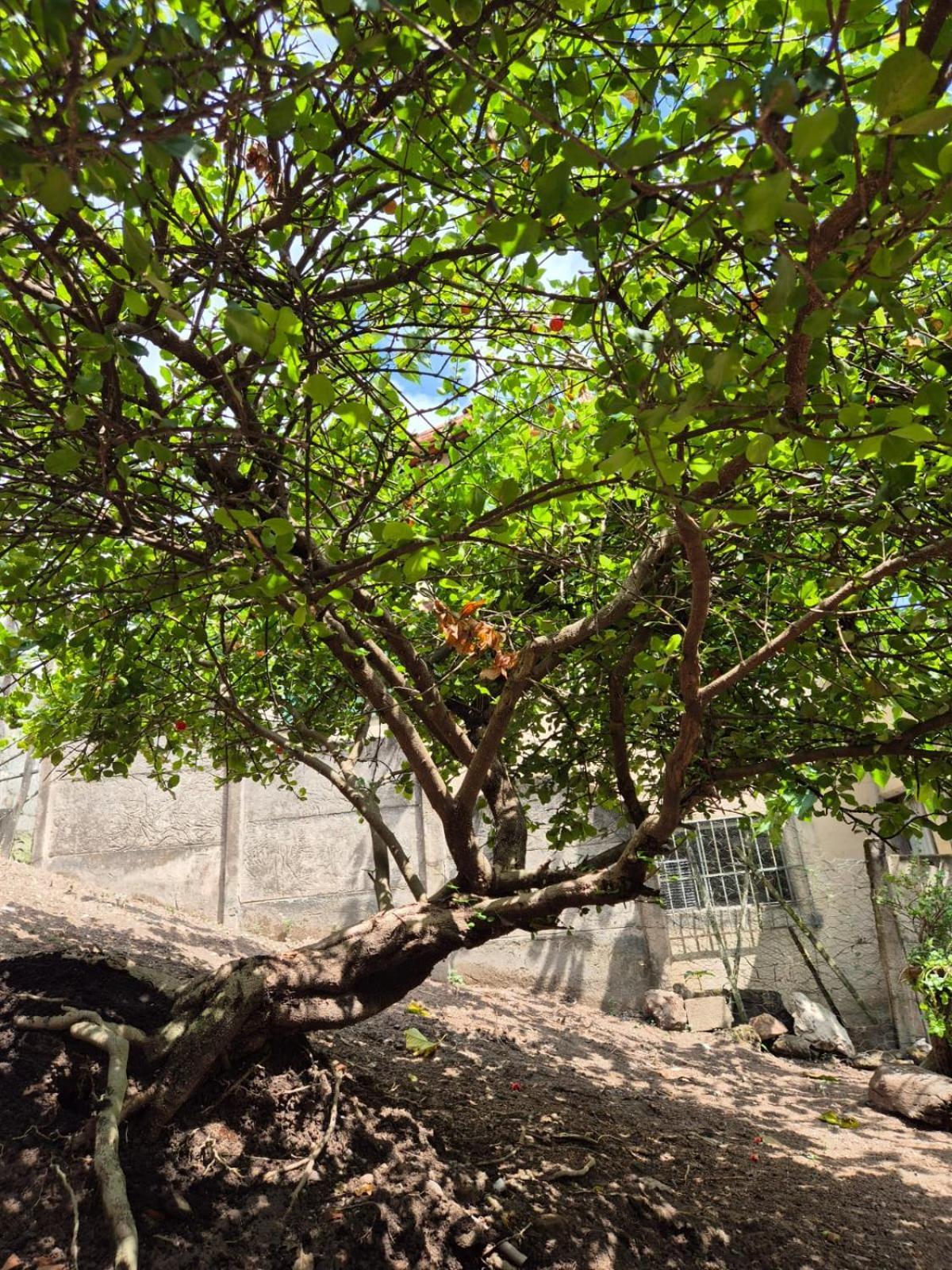 Pousada Verde Villas Brumadinho Esterno foto